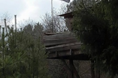 12803126_1302612399755248_4521303523736587969_n
